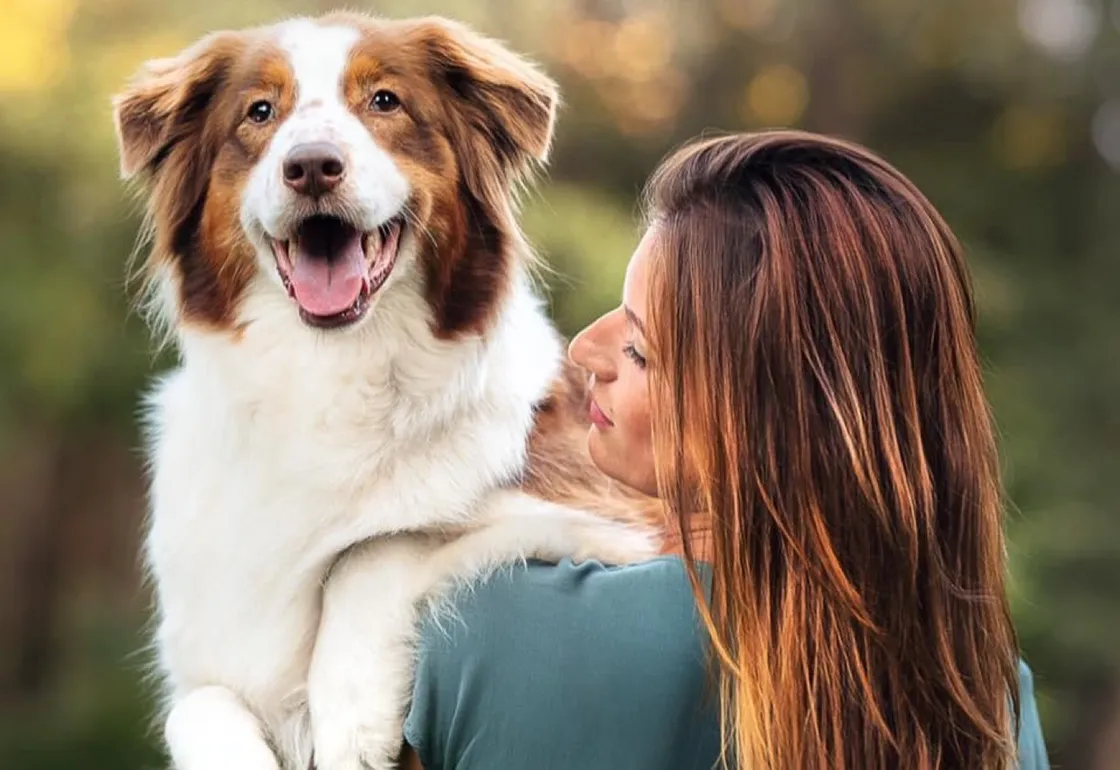 Hundepension Sonnleiten — Website · dog boarding, web design project by Christopher Rapp