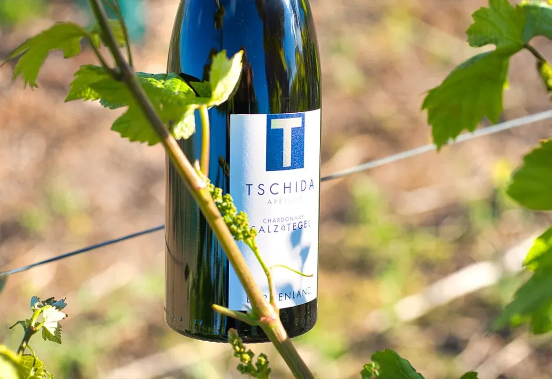 Weingut Tschida — Design concept · winery, web design project by Christopher Rapp